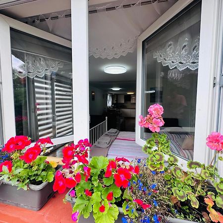 Apartament Bukowy Kłodzko Eksteriør bilde